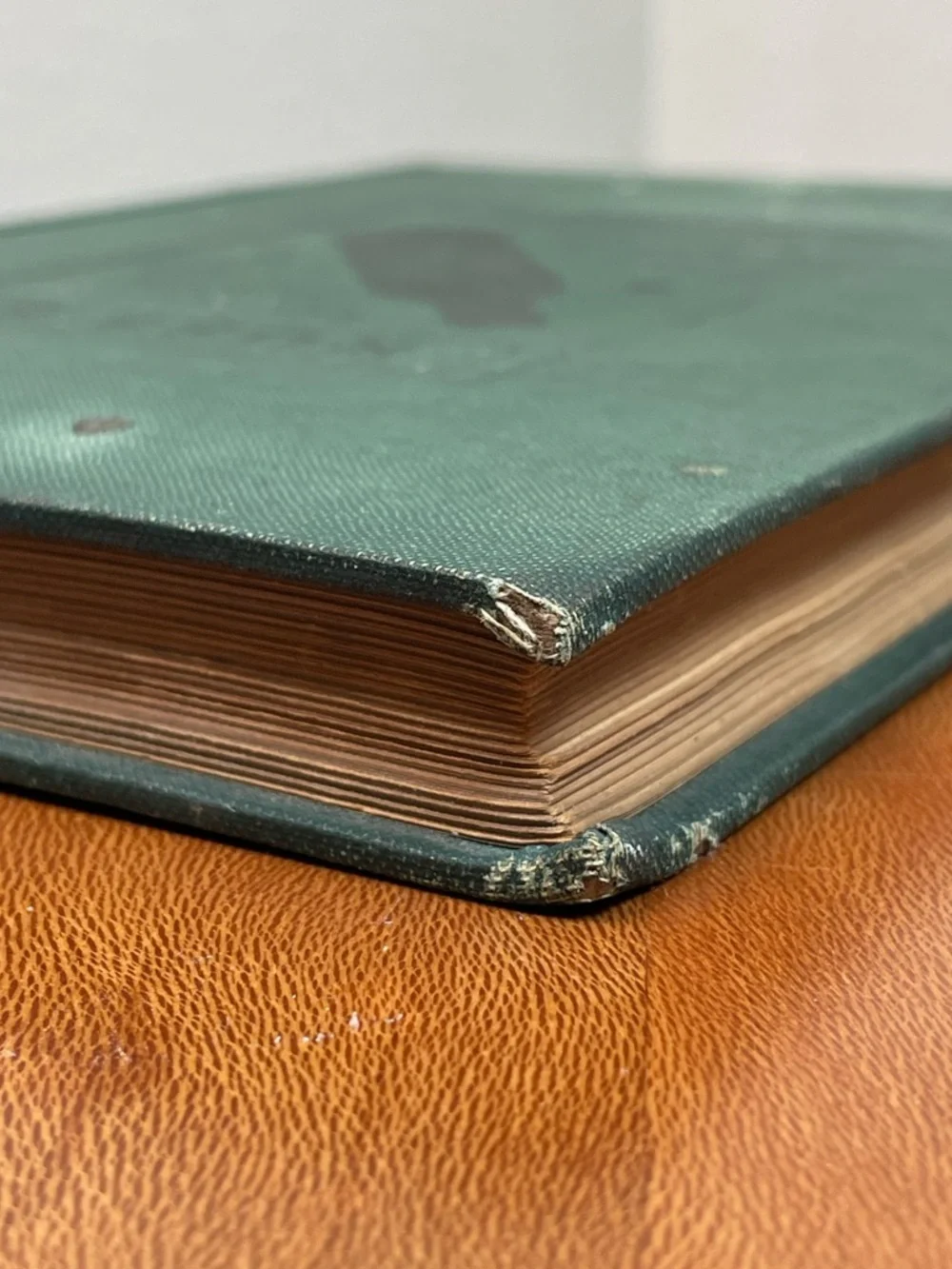 The New Lucile Cook Book 1906 Green Antique Acker Merrall Condit Co.